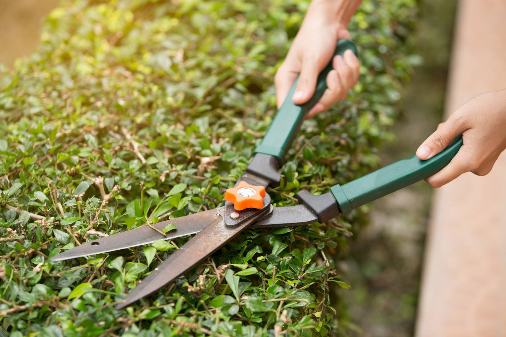 Banta Landscaping Corp