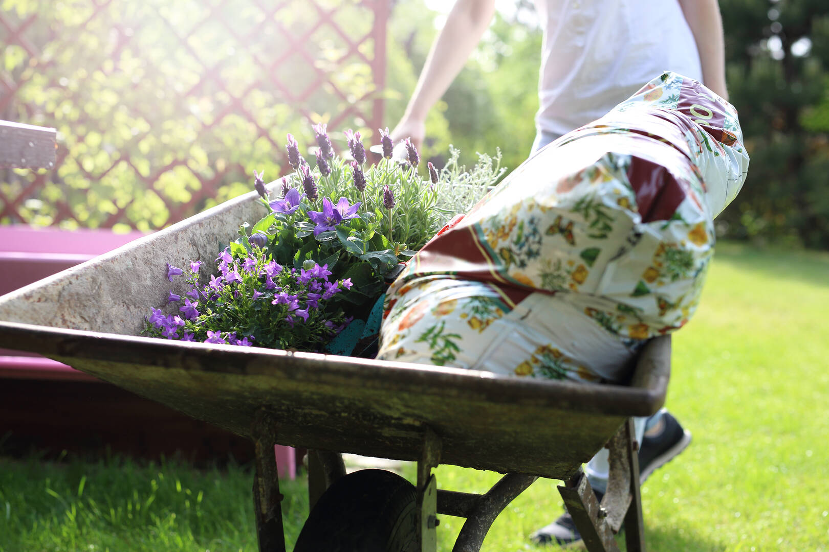 Wholesale Plants & Products