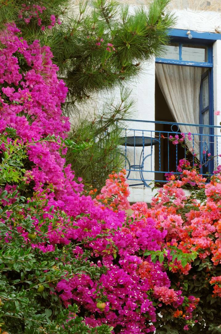 De Carlo Landscapes
