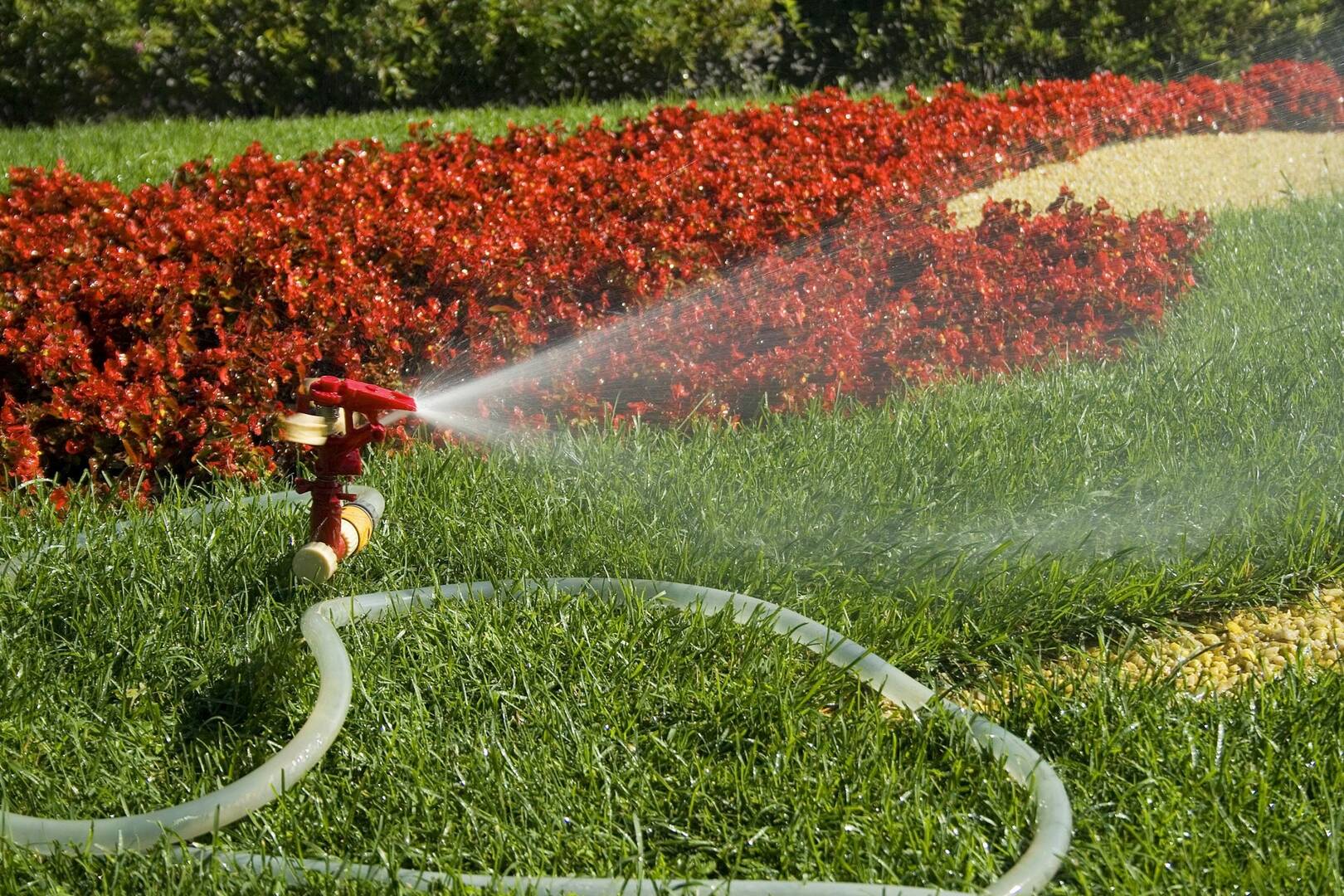 Wet 'N Wild Irrigation