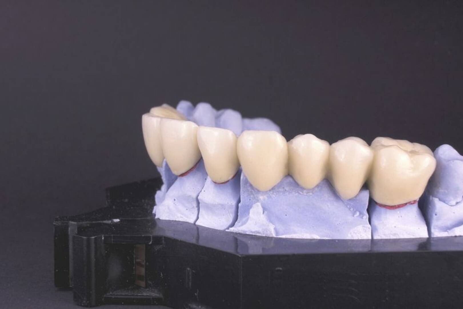 BridgeView Dental Group